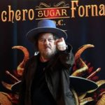 zucchero fornaciari torna con doc